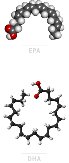 EPA