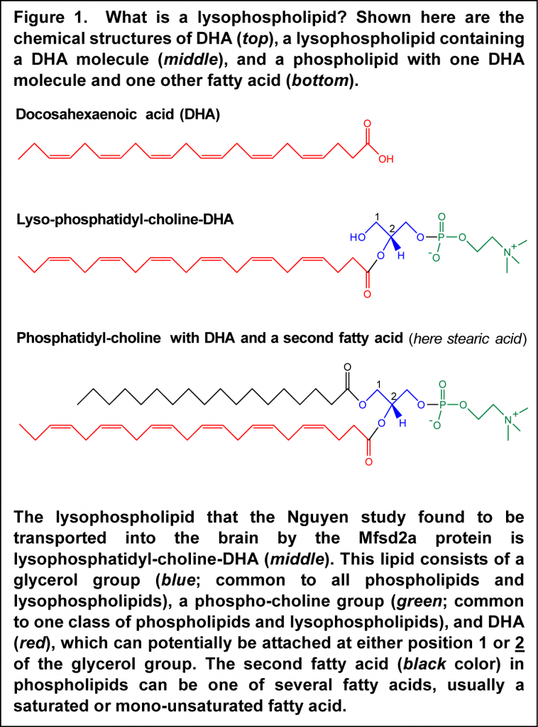 Aug 2014 - Nguyen Figure 1