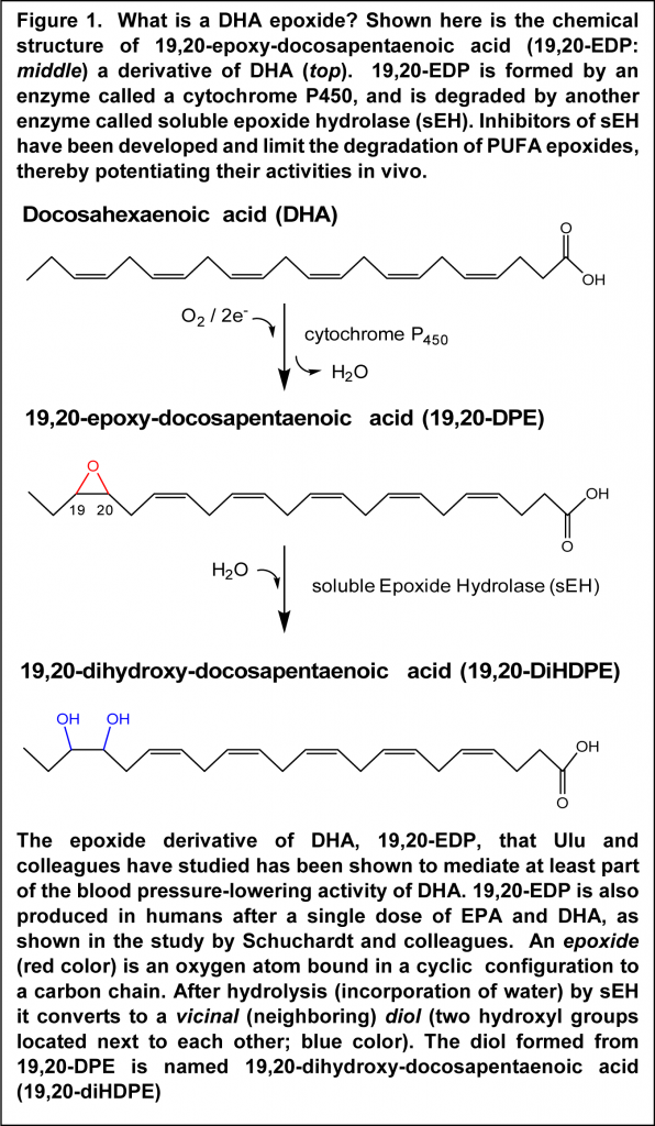 Dec 2014 - Schuchardt Figure 1