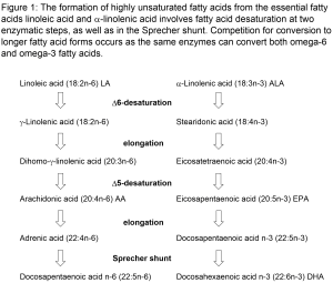 kothapalli-fig-1